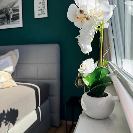 Hunsrueckliebe Liederbach (Rhineland-Palatinate)