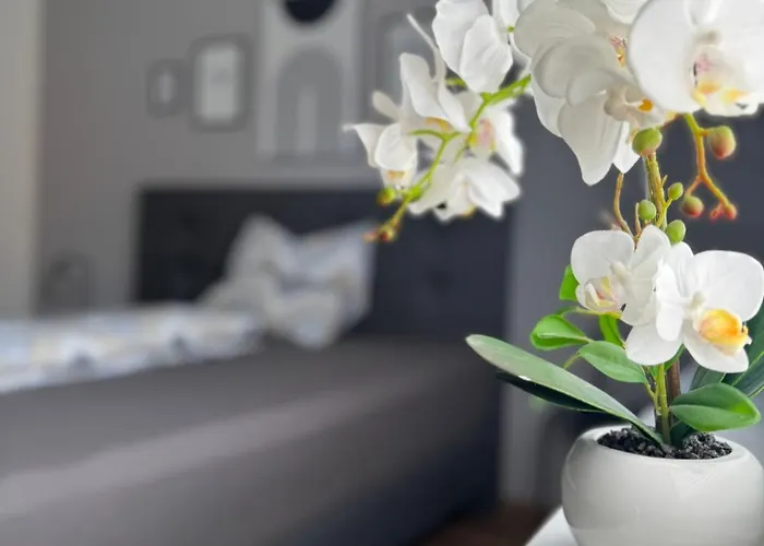 Casa de Férias Hunsrueckliebe