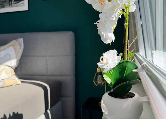 Hunsrueckliebe Liederbach (Rhineland-Palatinate)